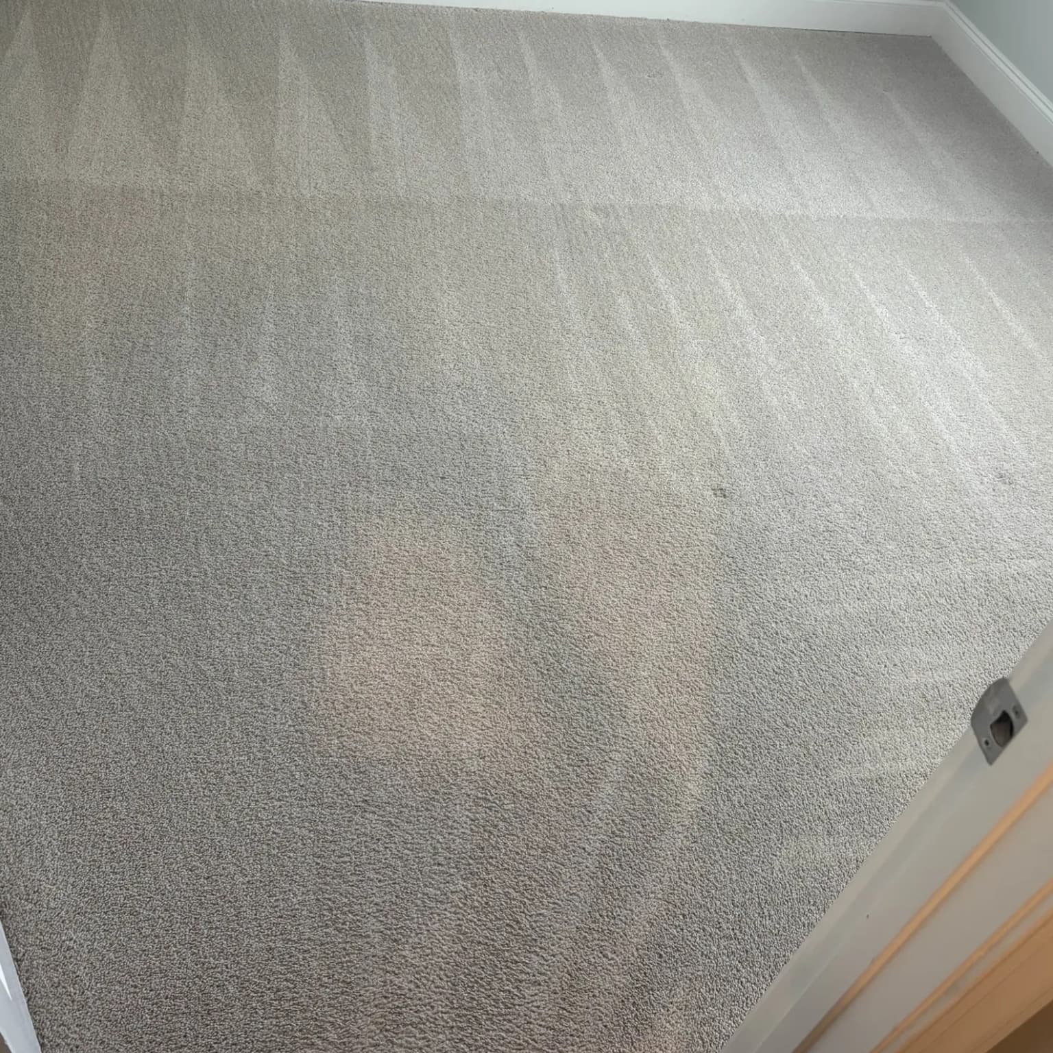 Carpet cleaning in Cedar Stone, Smyrna, TN