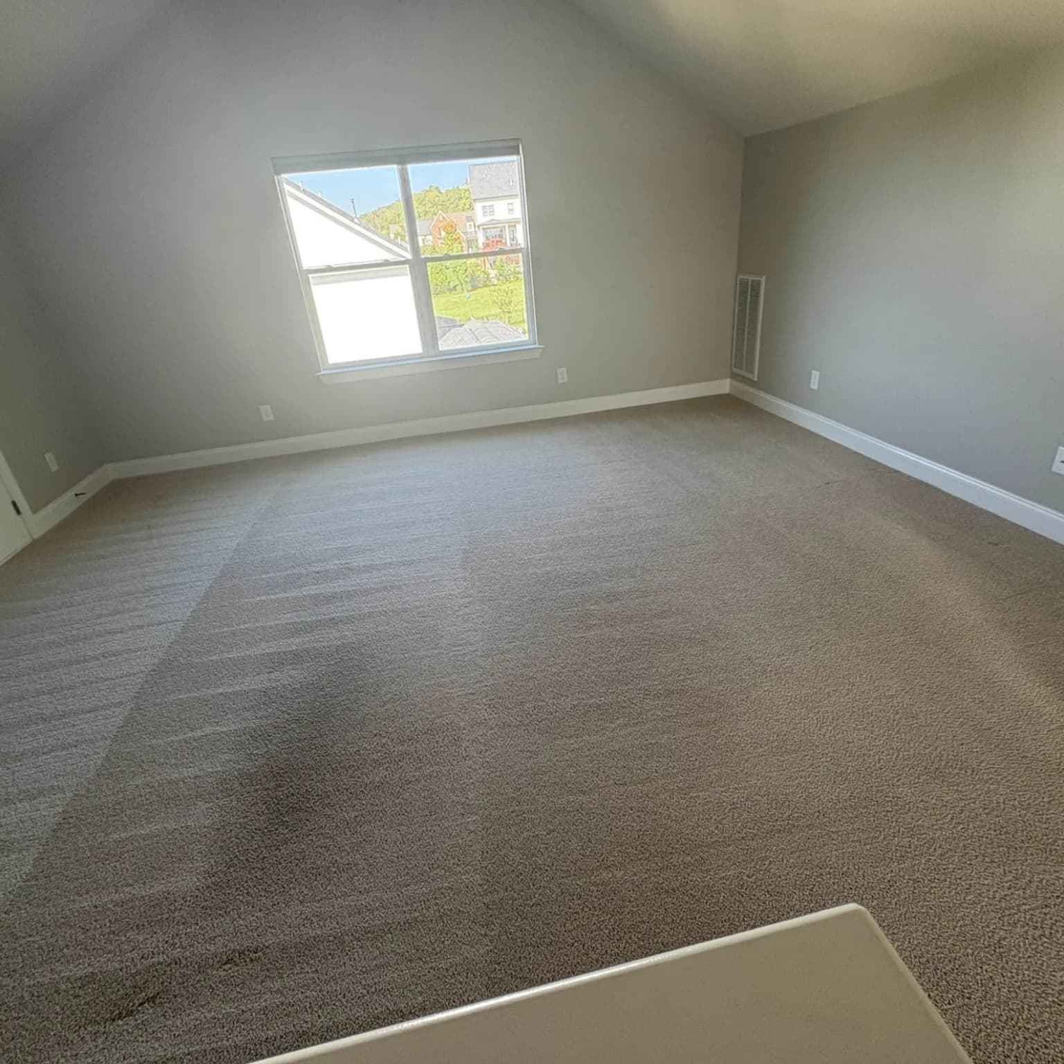 Carpet cleaning in Gregory Mill, Smyrna, TN
