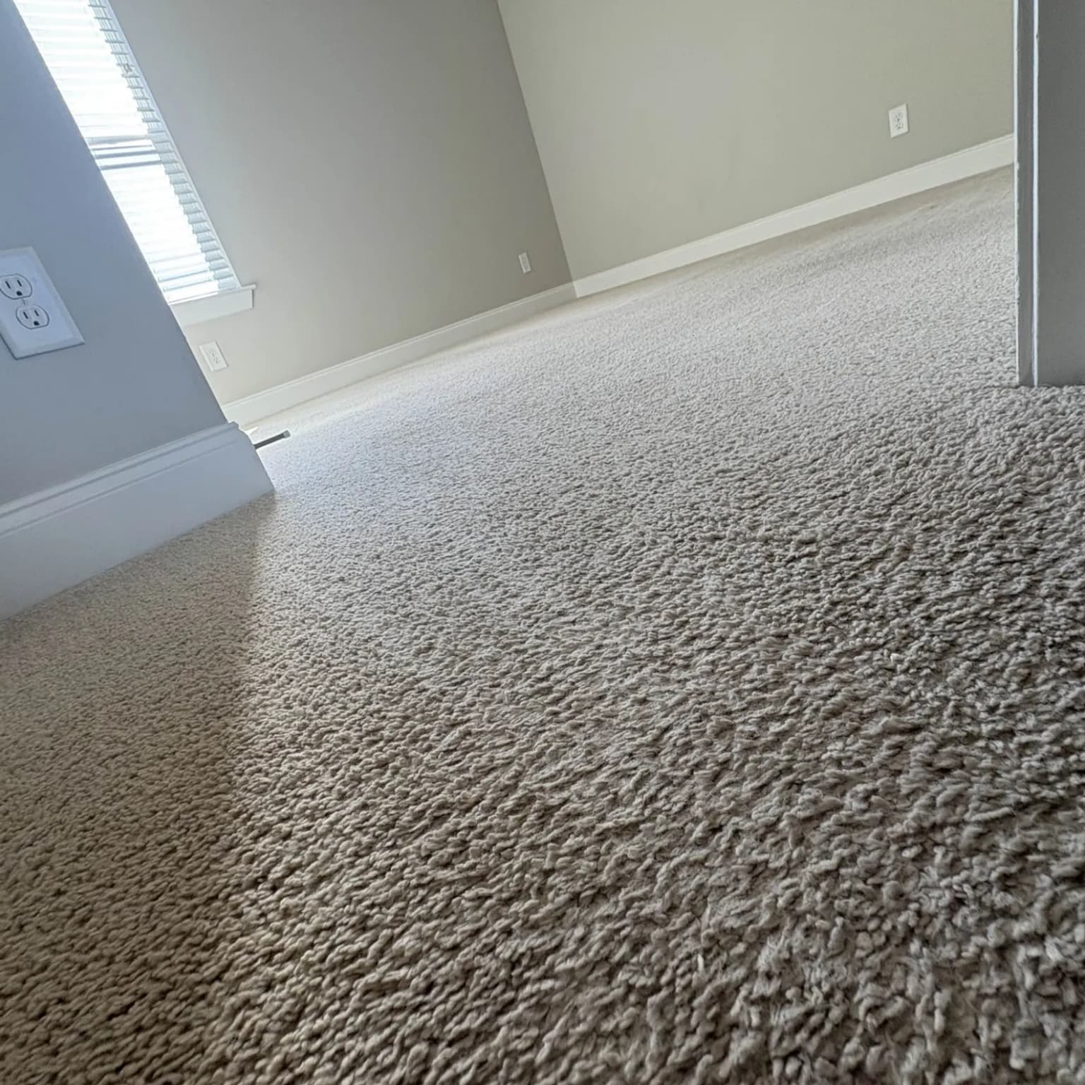 Carpet cleaning in Lee Victory, Smyrna, TN