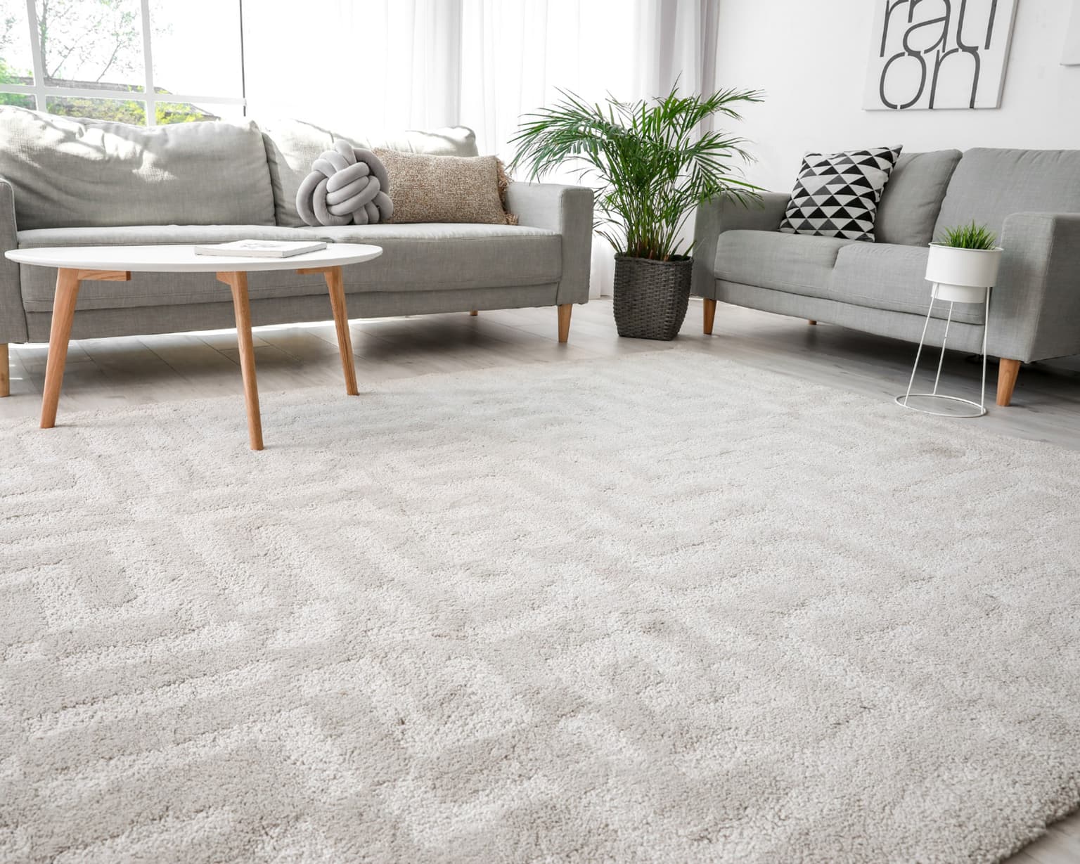 Area Rug Cleaning in Smyrna TN